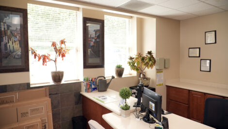 Plants on the front desk at the Towne Storage Gateway Storage Facility
